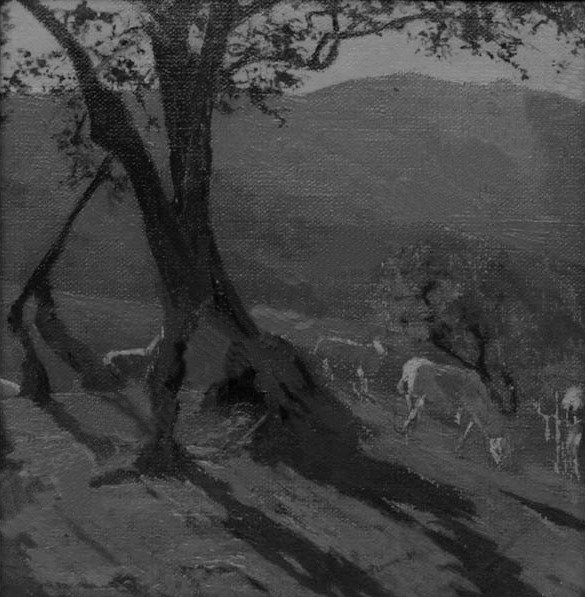 1910 - Scorcio di campagna con pecore